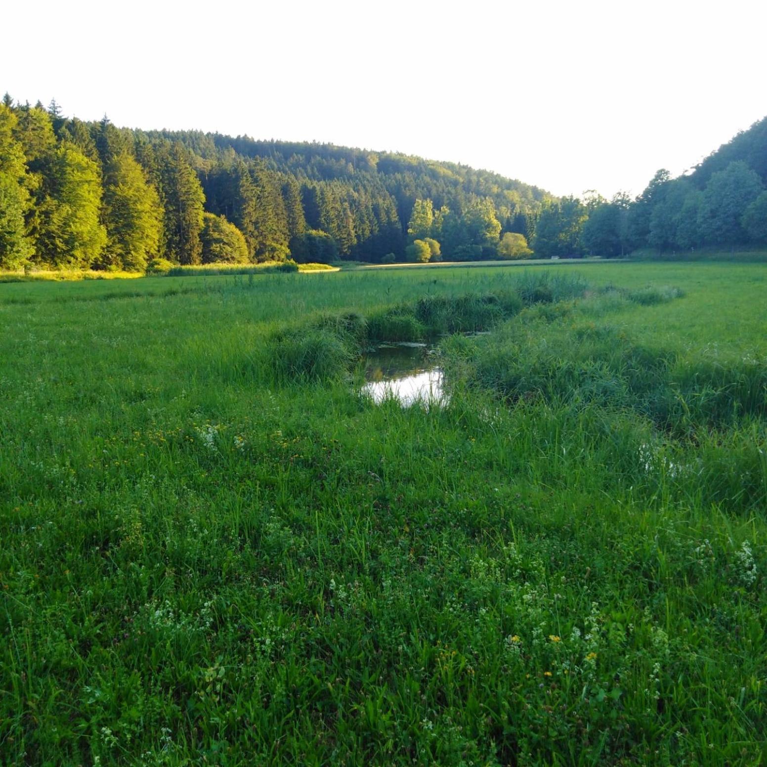 Ferienhaus Am Bach Mit Grossem Garten Deuerling Exteriér fotografie